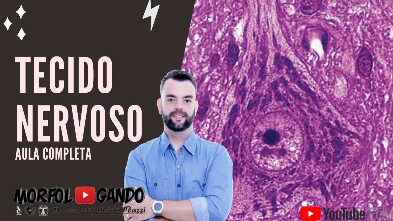 Tecido Nervoso (Aula Completa) - Prof. Otávio Plazzi