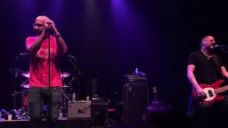 The Watchmen - Absolutely Anytime (live)