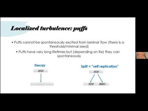 Transition to turbulence in wall bounded flows - A. Frishman