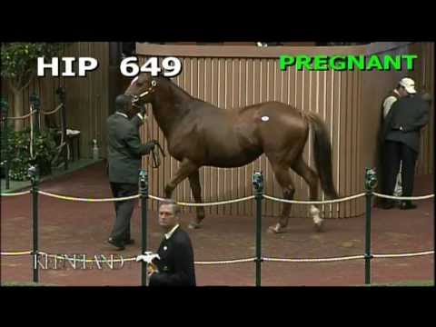 Tell It Sells for $540,000