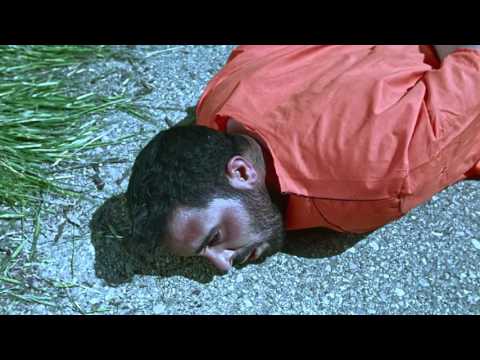 DIFF 2015 - My father's garden