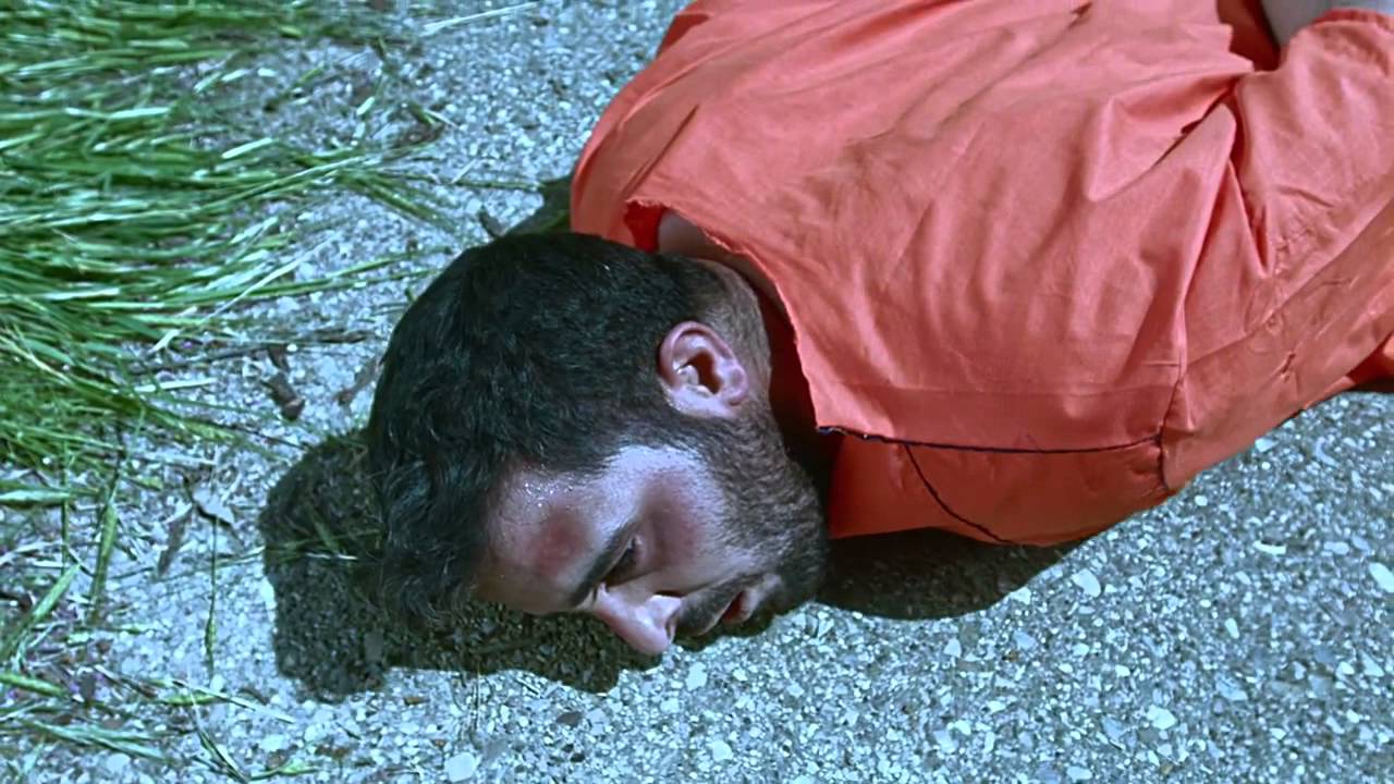 DIFF 2015 - My father's garden