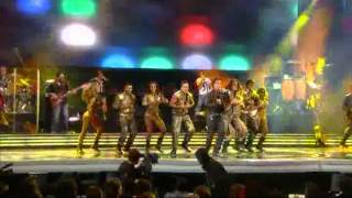 Festival de Viña 2012, Luis Fonsi, La mentira