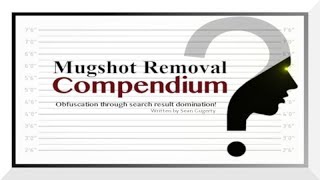 Reputation Management DIY Mugshot Removal Guide!