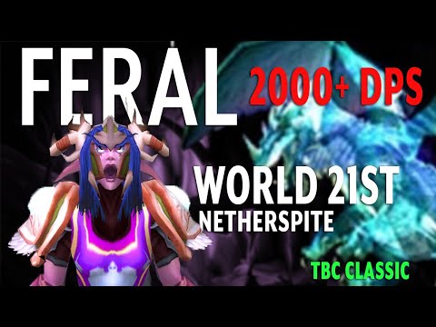 2000+ DPS Feral Druid - World #21st Netherspite | Karazhan | WoW TBC Classic