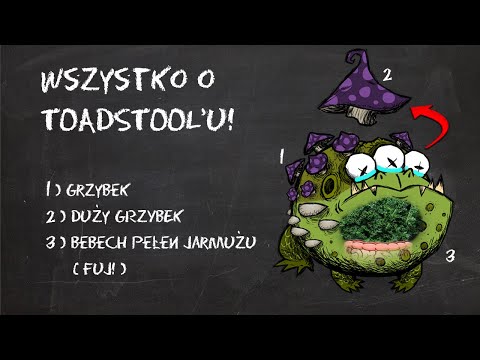 ABSOLUTNIE WSZYSTKO NA TEMAT TOADSTOOLA - Poradnik DST