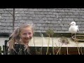 Feeding Grannies Pet Herring Gull Charlie
