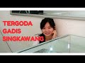 JATUH CINTA SAMA GADIS SINGKAWANG