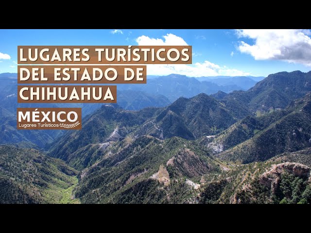 Видео Произношение chihuahua в Испанский Видео Произношение chihuahua в Испанский