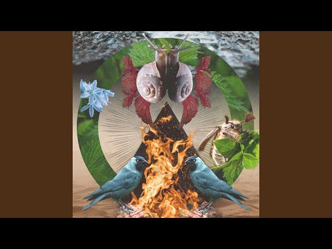 Csattogó (SavaBorsa ReWork 2022)