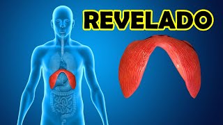 Como PARAR de Soluar Imediatamente - Como Resolver o Soluo Que No Para