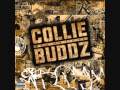 Collie Buddz Feat Roache - Sensimilla 