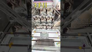 ホロライブリラックスタイムif白銀ノエルだんちょむver.5手獲得動画 #富士市 #クレーンゲーム攻略 #ホロライブ