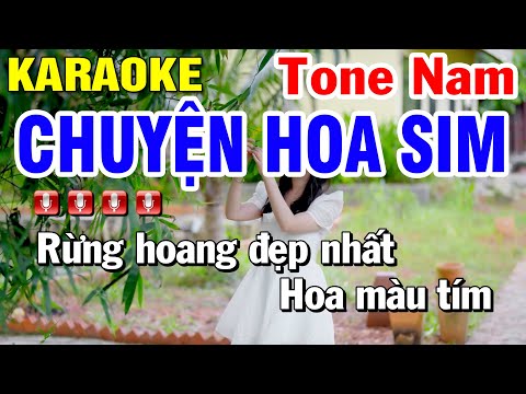 Chuyện Hoa Sim Karaoke Tone Nam - Beat Hay ( St Anh Bằng ) Huỳnh Lê