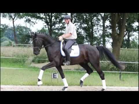 Wallach von Belstaff