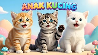 Download lagu LAGU ANAK 🇮🇩 ANAK KUCING MEONG MEONG - KITTEN SONG - LAGU ANAK BALITA VIRAL mp3