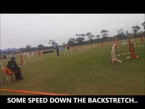 Pe bumper weekend 2017