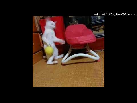 ukvsz - x_x [reupload]