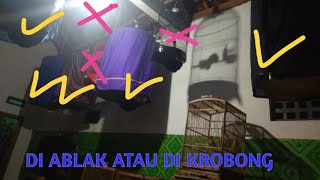 Download lagu Perawatan Burung Murai Batu dan burung lain Saat Malam Hari mp3 Download lagu Perawatan Burung Murai Batu dan burung lain Saat Malam Hari mp3