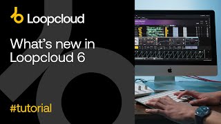 Video thumbnail for New Features - Loopcloud 6 by Loopcloud