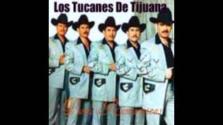 Los Tucanes 🦜 De Tijuana [ Porque Me Enamore De Ti ]
