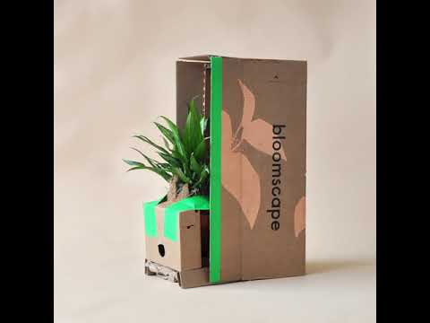 download lagu mp3 mp4 Garden Plants Delivered To Your Door, download lagu Garden Plants Delivered To Your Door gratis, unduh video klip Garden Plants Delivered To Your Door
