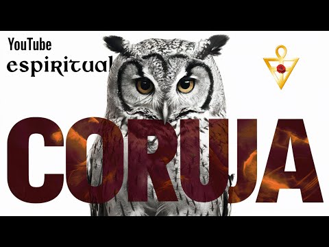 Vídeo: Coruja: perguntas e respostas sobre o significado