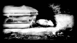 The Mount Fuji Doomjazz Corporation - Form