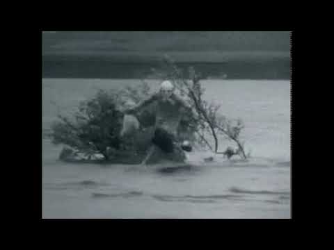 TONSCHATZ-  THOMAS WIDRAT -TEMPUS FUGIT T.C VIDEO VERSION 2018/6