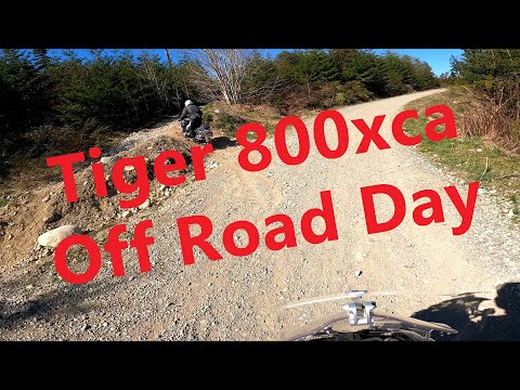 Tiger 800xca Off Road Day