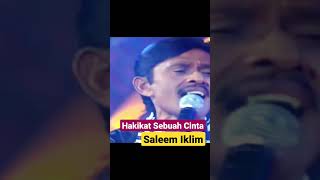 Download lagu HAKIKAT SEBUAH CINTA - Saleem Iklim mp3