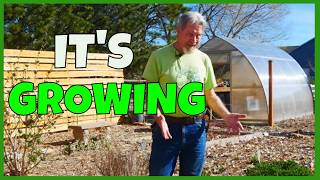 Garden Tour & Garden Prep (In the Garden 3-26)