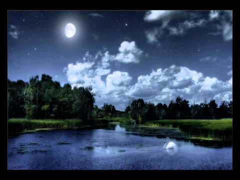 yuichi watanabe 8 / 12