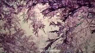 José González - Every Age (Lyric Video)