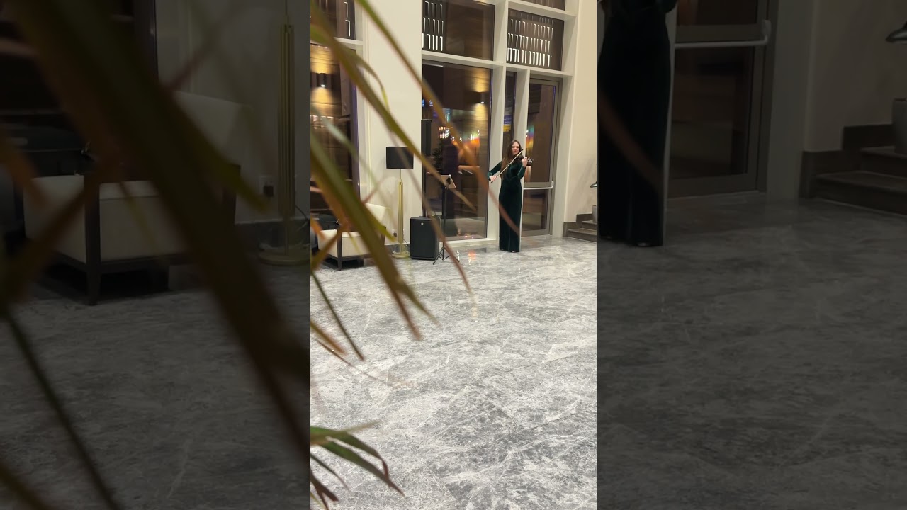 Promotional video thumbnail 5 for Violin Performance by Yuliia