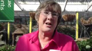 Southern California Garden club will teach you