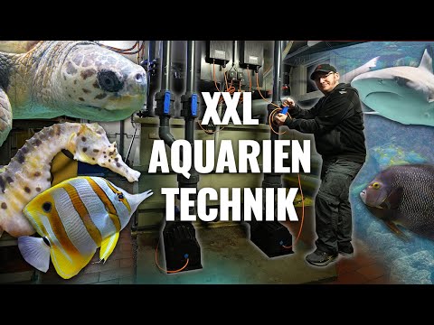So viel TECHNIK für das AQUARIUM in Wilhelmshaven? - Alex on Tour