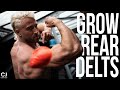 How To Grow Your Rear Delts Quick (4 Exercises You Need To Try)