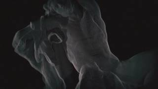 Mondkopf - Vivere parte IV