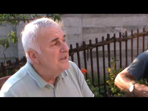 SAŠA DRAŽILOVIĆ SENA   Belo lice ljubam jas