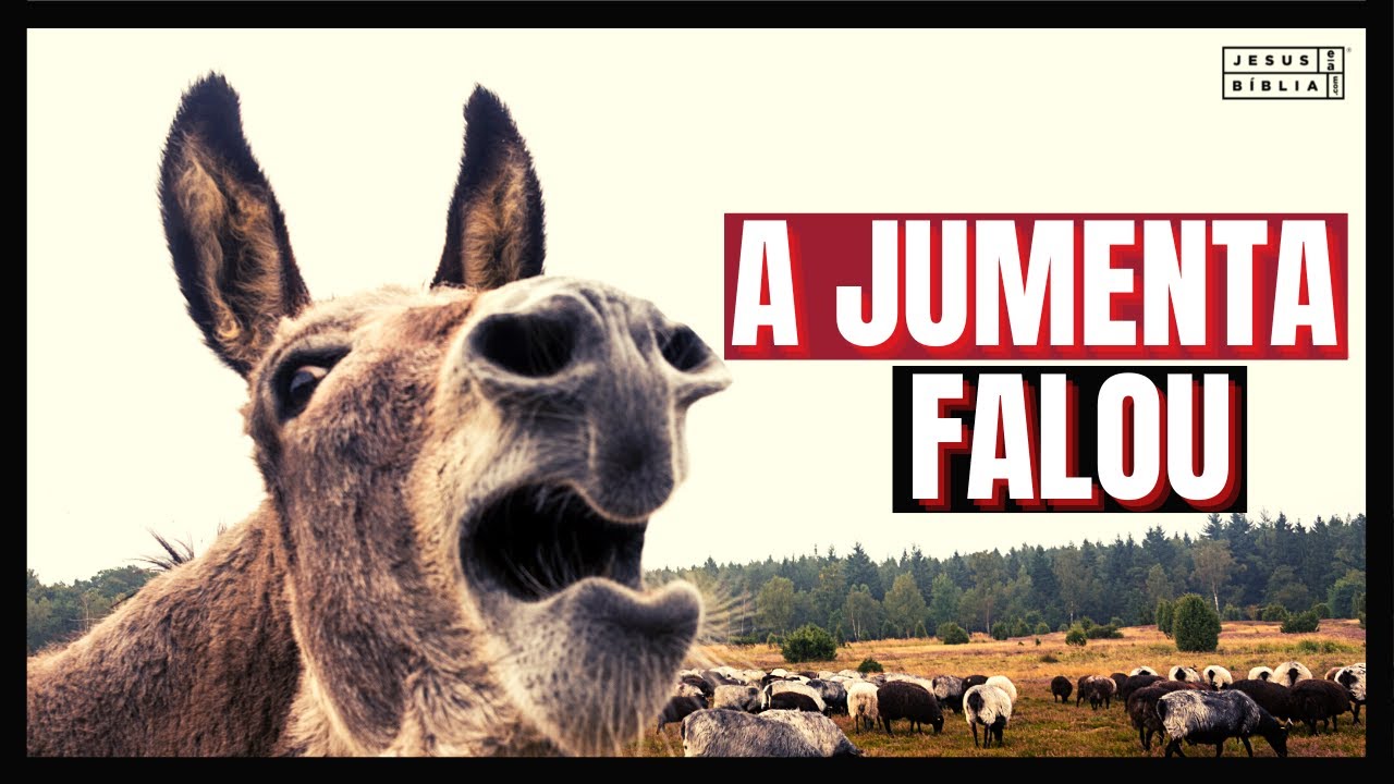 Números 22 Estudo: POR QUE A JUMENTA FALOU? (Bíblia Explicada)