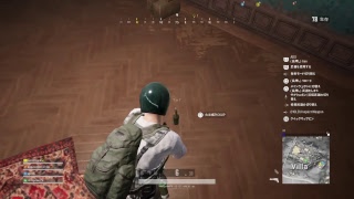 [PUBG　PS4版] おやすみ配信(-_-)zzz