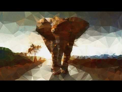 Marcos Dermi: Elephant (A SKITZO Remix)