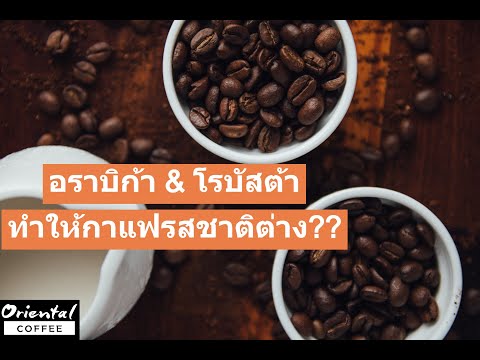 เธอเริ่มต้นฉัน ผู้หญิงหลังจากการวิดีโอของเชื้อโรคได้