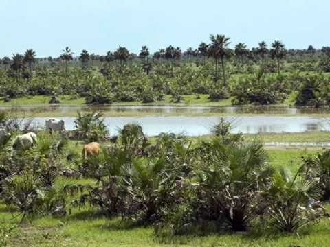 9  MIGUEL FARFAN   CARTA A JUAN FARFAN