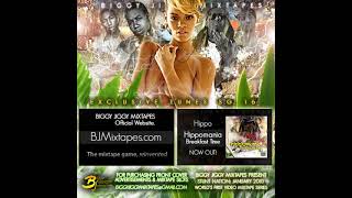 DMX ft Janyce - Let Me Be Your Angel - Biggy Jiggy