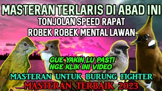 Download lagu SUARA MASTERAN BURUNG KASAR BIKIN HEBOH DI GANTANGAN, CILILIN, KATEM, CUCAK JENGGOT, GEREJA TARUNG mp3