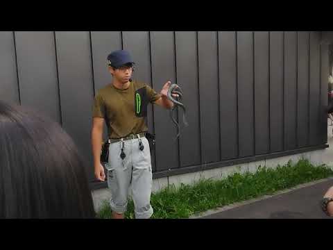 YouTube video