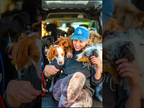 ¡Le pedí una foto a un lindo paseador de perros! #retratoscallejeros #cachorros #perro #perrolindo