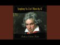 Symphony No. 5 in C Minor, Op. 67 - I. Allegro con brio